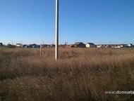    .          ,       . ,  -   