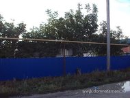 :   .         ,      . 