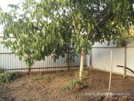 :   .         ,      . 