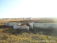 :   .        ,     25 .   . 