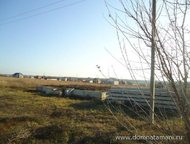   .        ,     25 .   . ,  -   