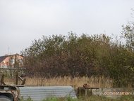   .        ,   ׸  2 .    . ,  -   