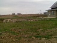   .        ,   ׸  20 . .   ,  -   