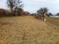   .         ,       . ,  -   