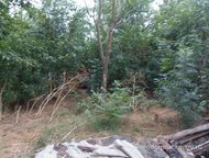 :   .         ,       .