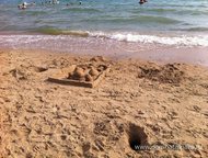 :   .         ,   ׸   . 