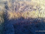 :    .          ,       . 