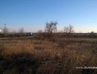 :    .          ,       . 