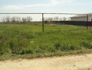 :   .         ,       . 