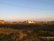 :    .          ,       . 