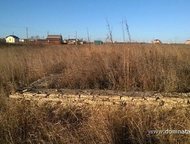 :    .          ,       . 