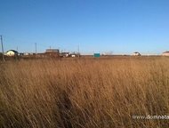 :    .          ,       . 