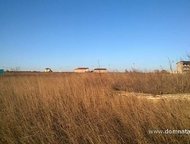 :    .          ,       . 