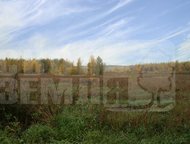 Москва: Недвижимость в деревня Малышево (Ганусовский с/о). Как добраться
Автомобиль
Проезд по Новорязанскому шоссе, далее съезд Недвижимость в деревня Малыше