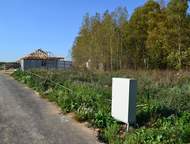 ������: ������������ � ������������. ������ �������� �������, � 12 �� �� ����, � ������ ������� �������, ������� ������������, ������������ ������������ � ���