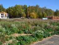 ������: ������������ � ������������. ������ �������� �������, � 12 �� �� ����, � ������ ������� �������, ������� ������������, ������������ ������������ � ���