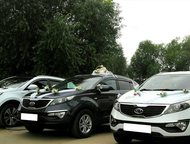  :  kia sportage  , ,      (    ) 
    15   