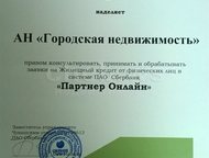 :  1-, -,  ,   49     .  ,  , / 