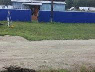      , , .     , , , ,  ,  -   