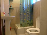     1-        ,       , ,  -  