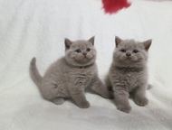 :          , 2 .    , , , 