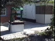    ,     .   -   . 62 .  ,  ,  , -- -  