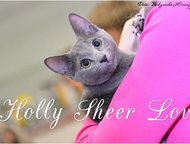:    Sheer Love   /    WCF  Sheer Love/ /      