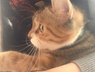 -:           ,           ,    