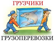  :  , , ,   , , ,  
  ,       