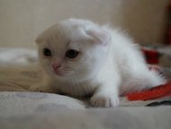 �����������: ������ ����������� ����� ������ ����������� �������� �����