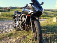 : Yamaha FZ6 Fazer 2008 -    Yamaha - FZ6 Fazer, -, 2008  ,  22 000 , 3 ,  ,