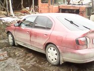  Nissan Primera 2000  Nissan Primera 2000     .  ,  ,     .,  -  