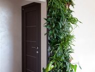 -:   Green Tree    ,  ,   . 
       +   