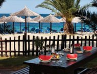 Promo-   Porto Carras Grand Resort 5*:    50%    porto carras grand resort 5*    ,  - , 