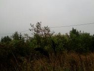       10 . .  (   6)  .   .,   -   