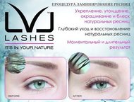     LVL Lashes (). 
   ,   ,    2- ,  -  