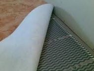 :                           