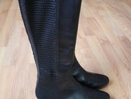 :   Hogl       Hogl,  38, 5.   50%   ,  -   
