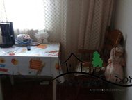     , 1522    ,      .    .,  -  